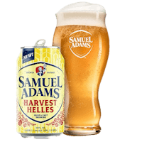 Sam Adams Porch Rocker Can